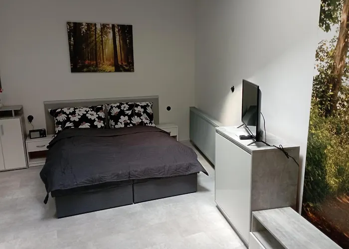 Soukromý Deluxe Appartamento Trutnov